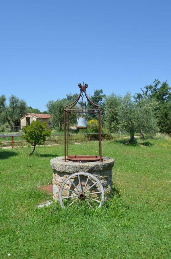 Gasthaus La Casina Degli Olivi Seggiano Exterior foto